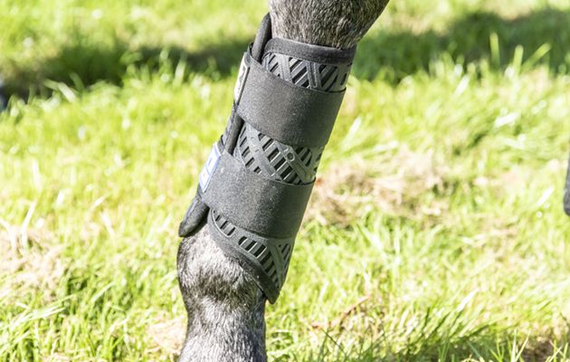 Majyk Equipe Color Elite X Country Boots review