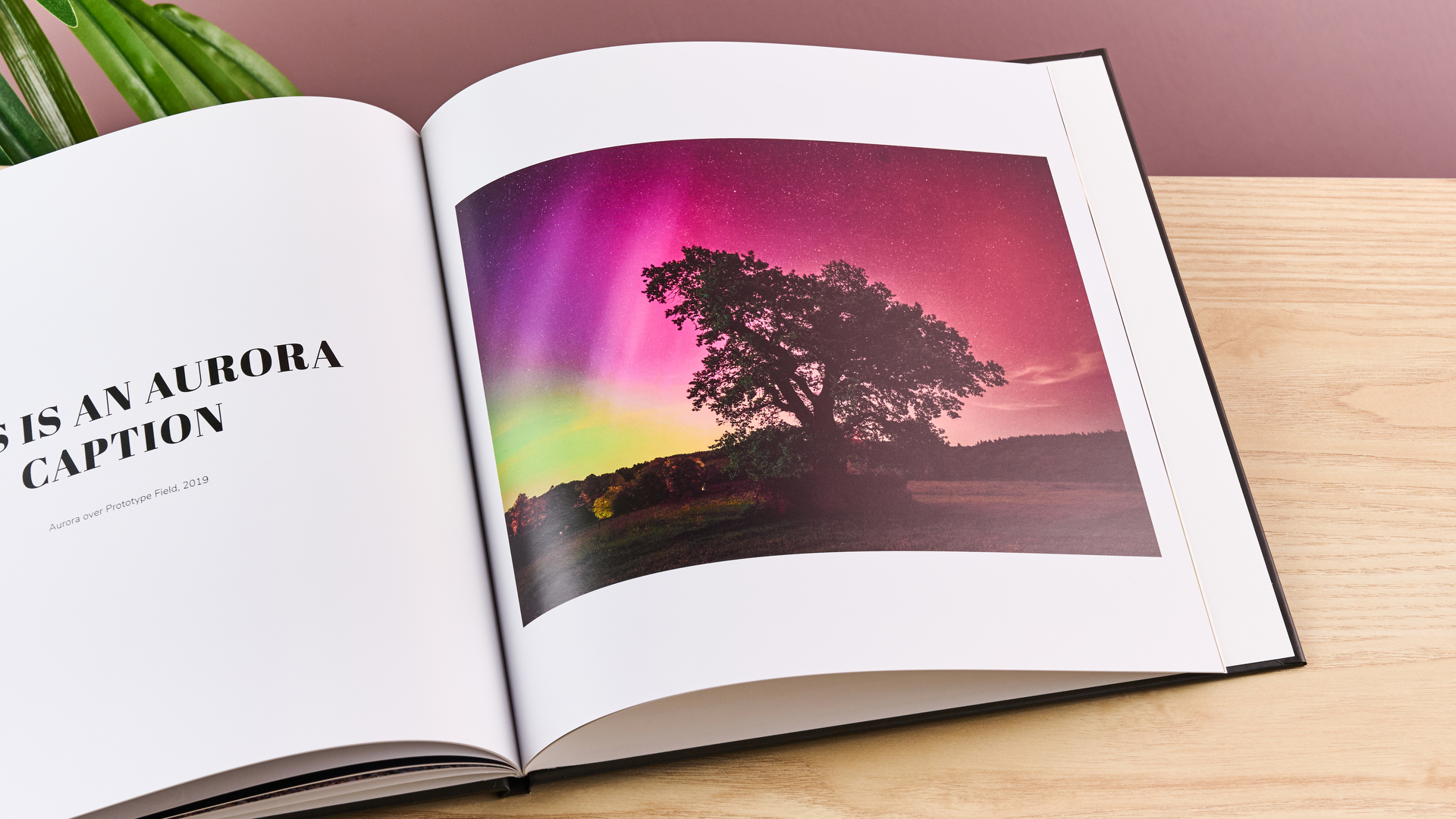 The Once Upon photo book sits open on a page featuring a large image of a tree in front of a colorful aurora sky.