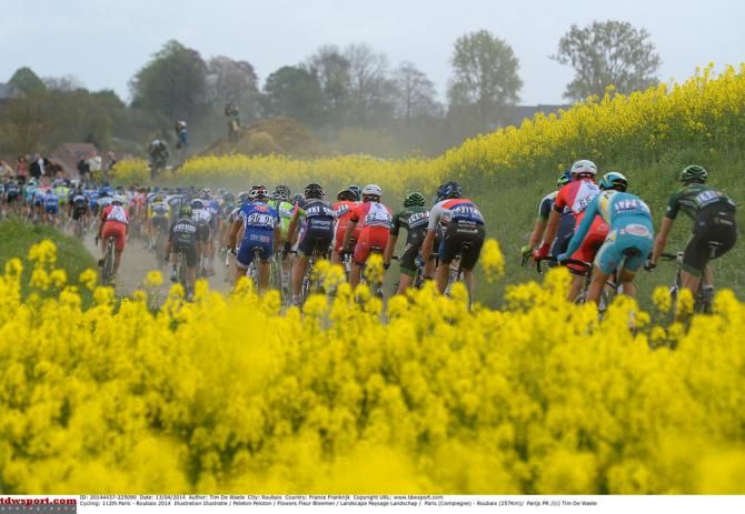 The flowers of Northern France