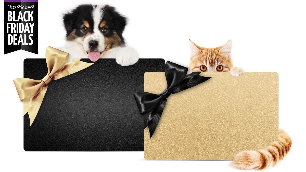 Best Cyber Monday Deals Petco Don’t miss these bargains PetsRadar