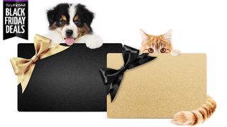 Cyber Monday Deals Petco, Dog in black gift bag and ginger kitten in gold gift bag