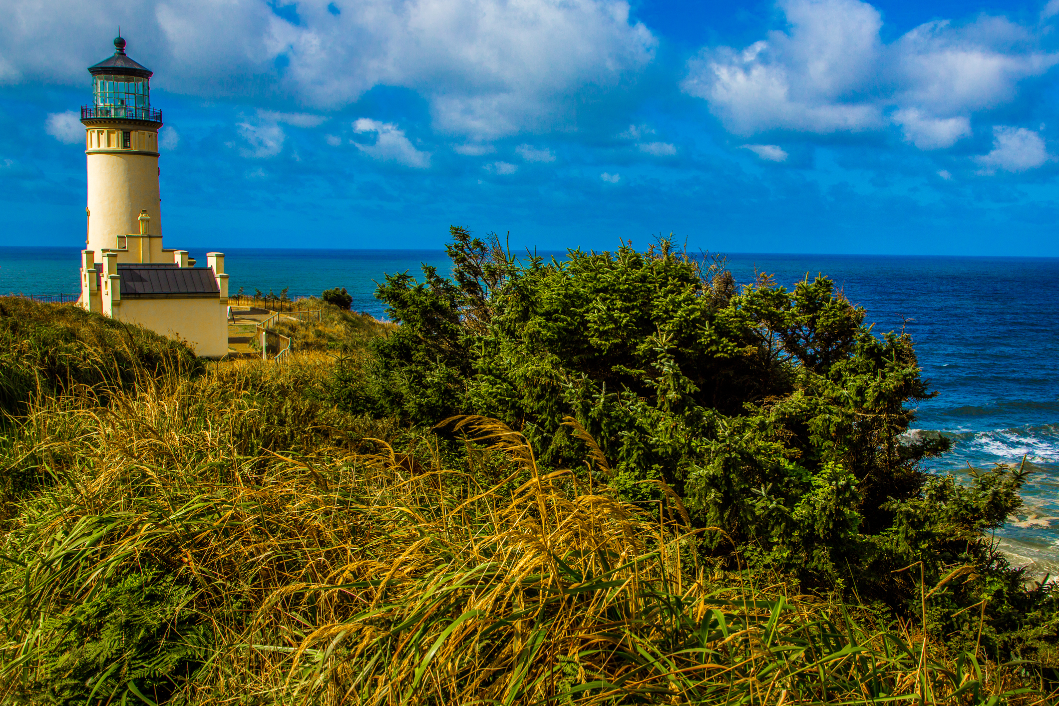 The North Head Lighthouse at Cape Disappointment on the Pacific coast of Washington stands tall against a backdrop of a vivid blue sky with its structure overlooks the Pacific Ocean.