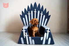 Game Of Bones: There's now an Iron Throne you can buy for your dog