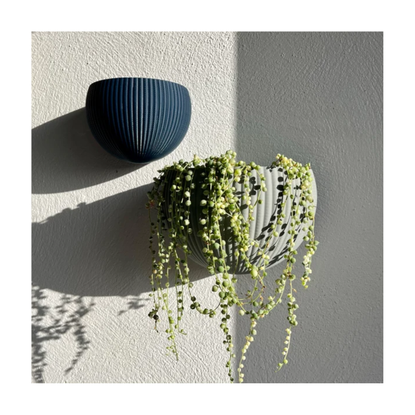 This Viral Trick Lets You Display Flowers on a Blank Wall | Livingetc