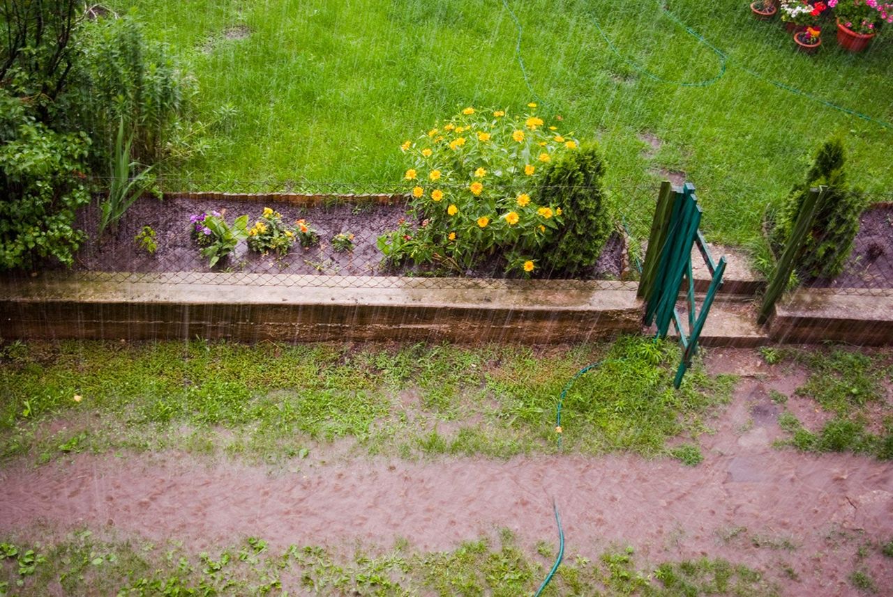 Raining On A Raised Garden Bed