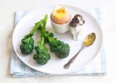 sprouting broccoli