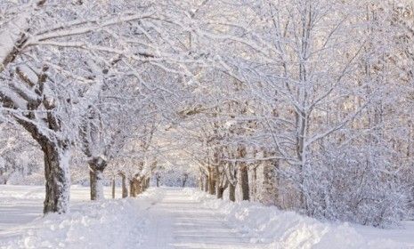 A snow covered road in coastal Maine: Some families in the Pine Tree State simply don&amp;#039;t have enough money to keep the heat on all winter.