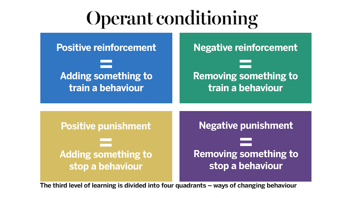 operant conditioning diagram