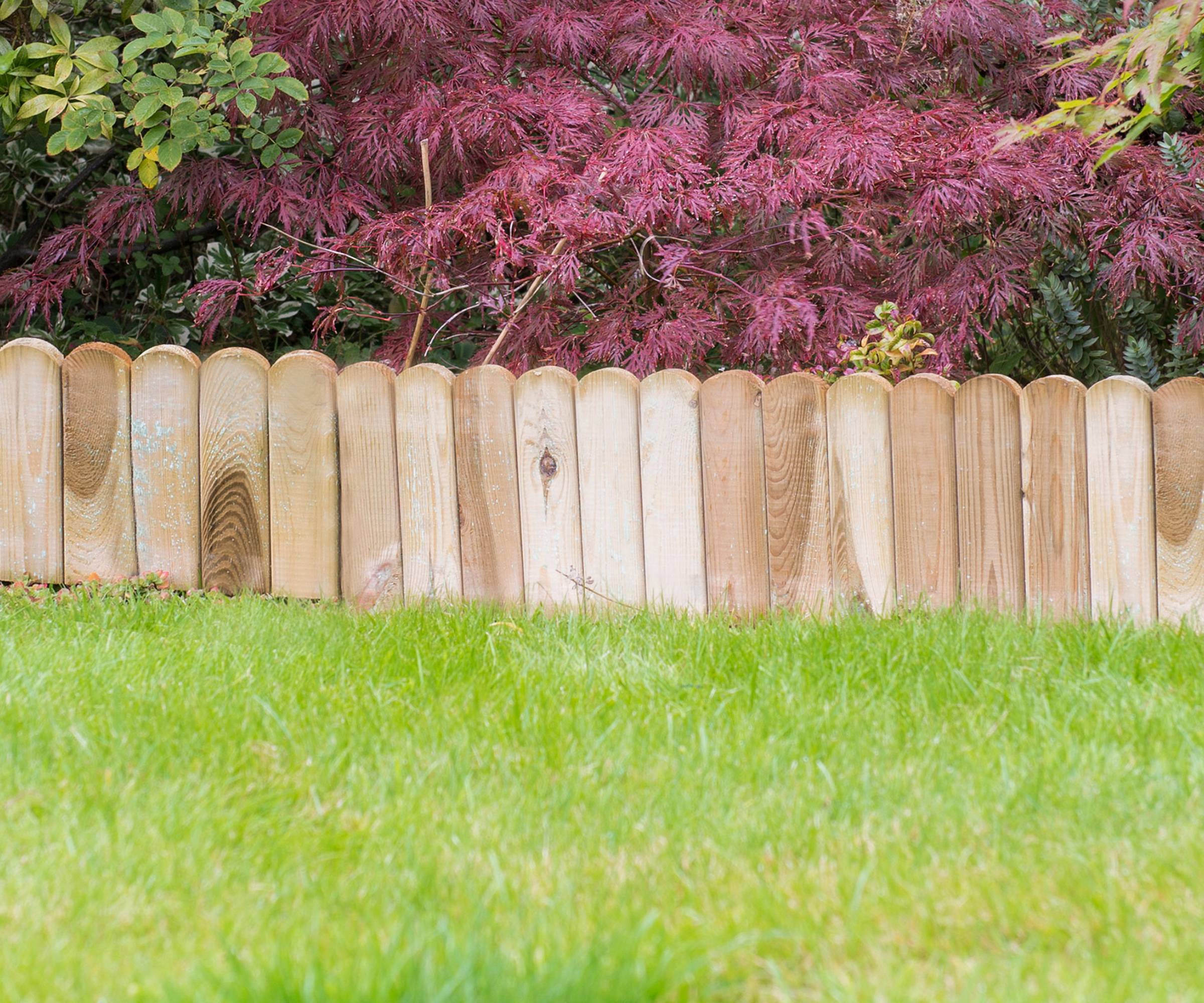 Domed Top Border Edging from Forest Garden