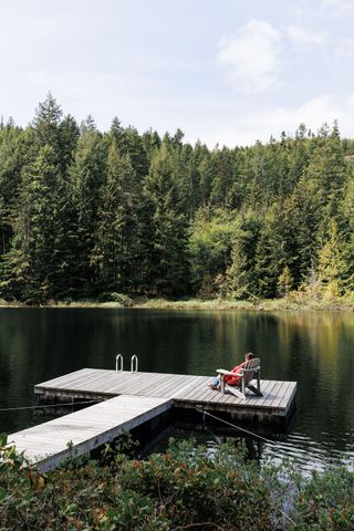 Two Canadian cabins take space-saving interiors to the max | Wallpaper*
