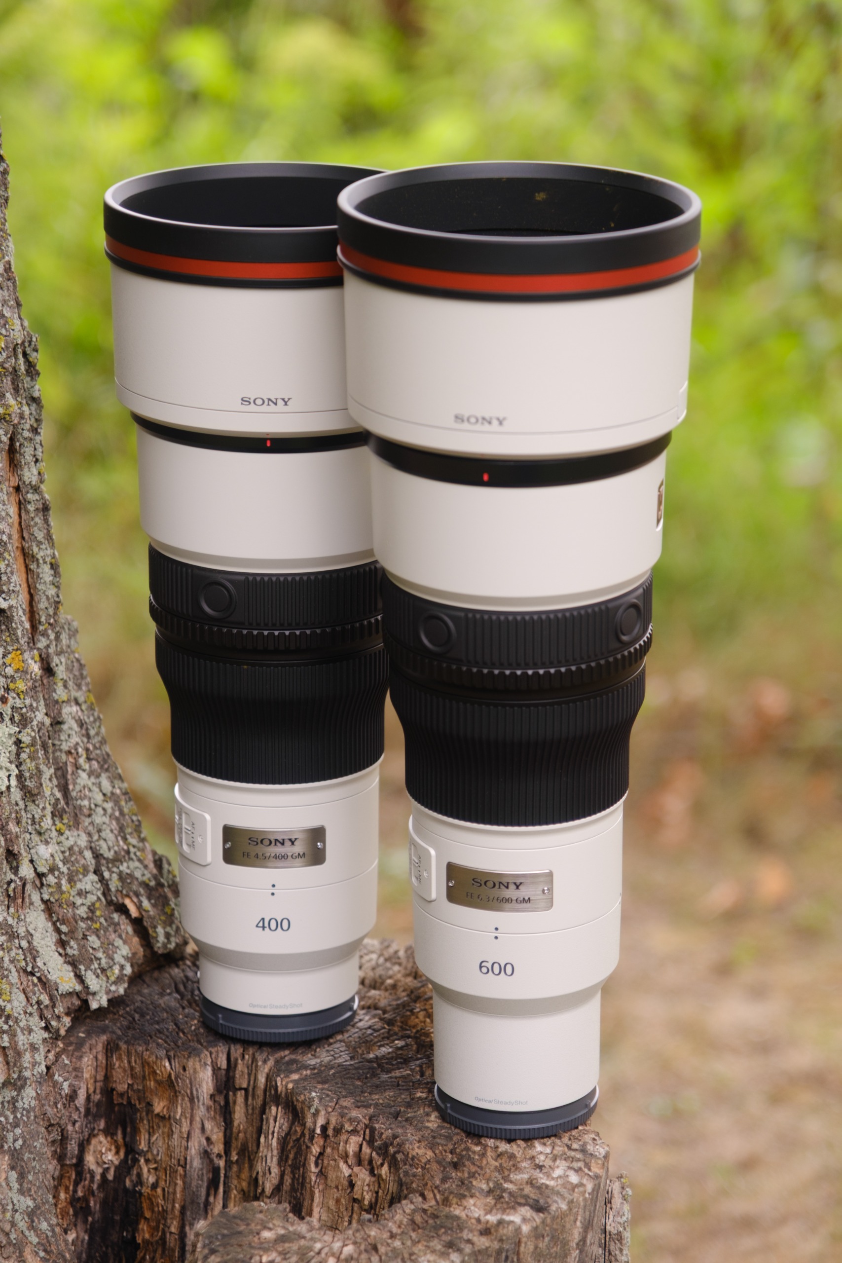The Sony FE 600mm f/6.3 GM OSS photographed outdoors