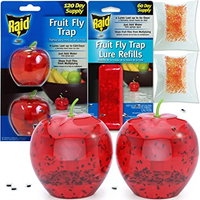 Rain Indoor Fruit Fly Trap | $16.99 at Amazon