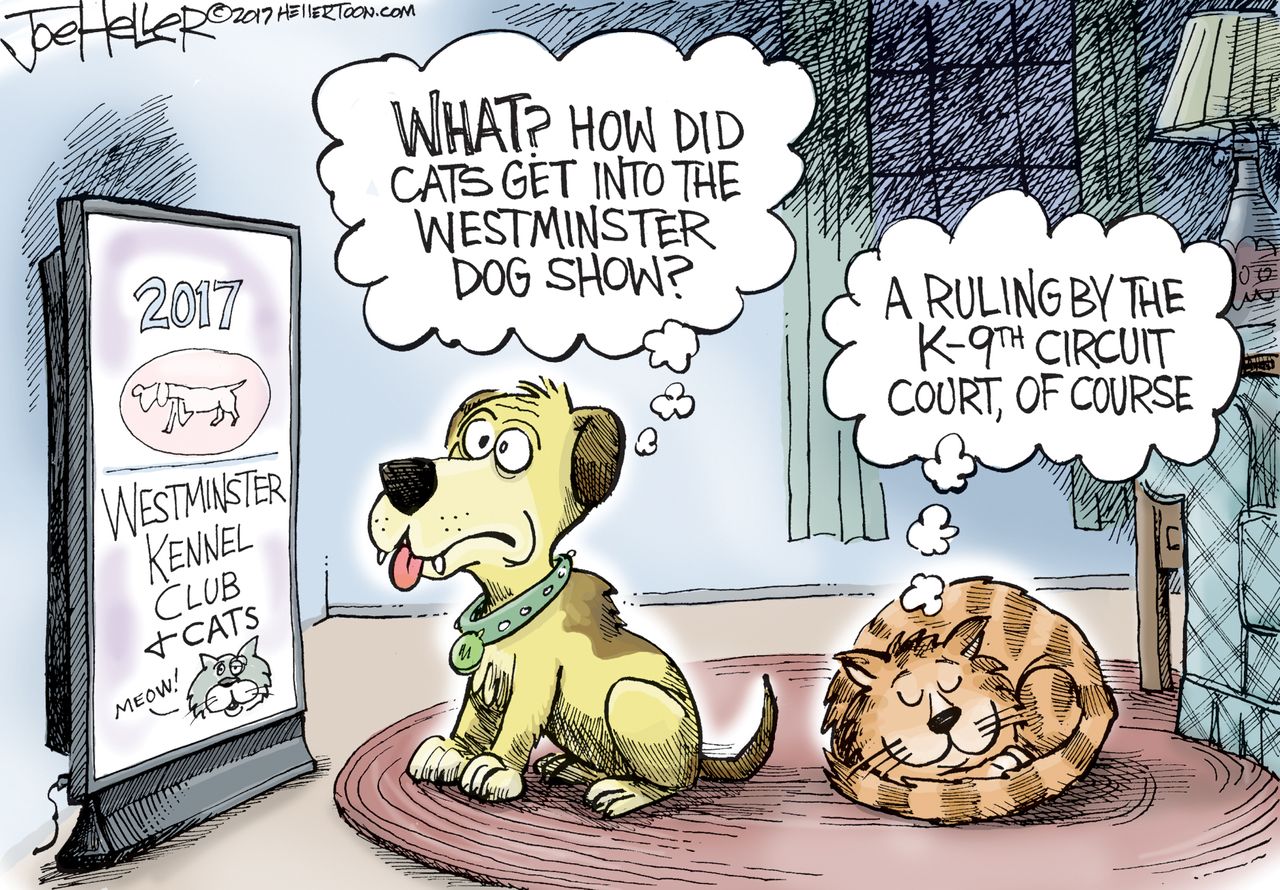 Editorial Cartoon U.S. Ninth Circuit travel ban ruling Westminster dog show cats