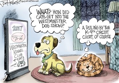 Editorial Cartoon U.S. Ninth Circuit travel ban ruling Westminster dog show cats