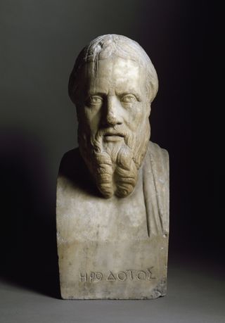 Herodotus Bust