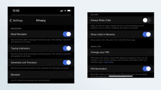 A partial list of the privacy settings in the Signal iOS app.