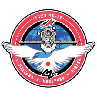 The Soyuz MS-20 patch includes an eagle to represent commander Alexander Misurkin and Yusaku Maezawa's 'MZ' logo.