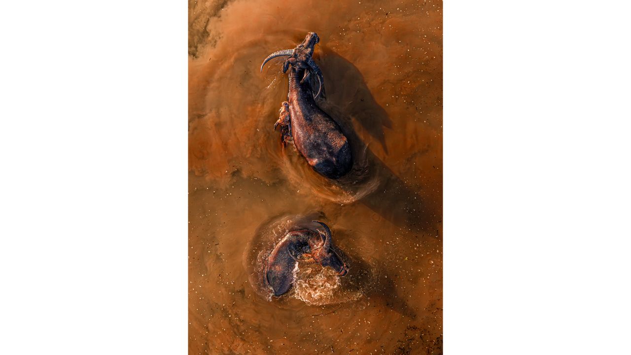 An image from the SkyPixel Awards 2026