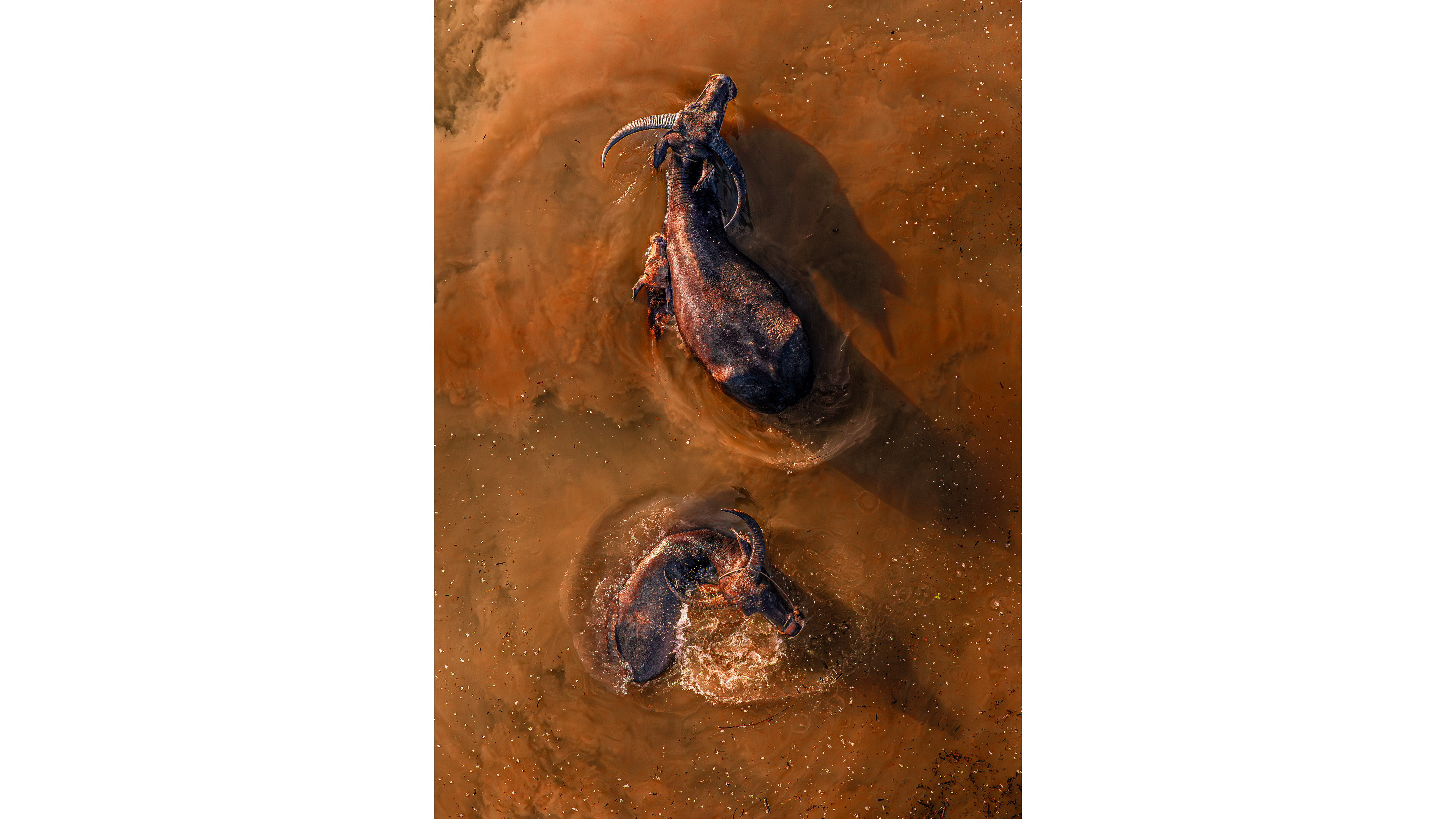 An image from the SkyPixel Awards 2026