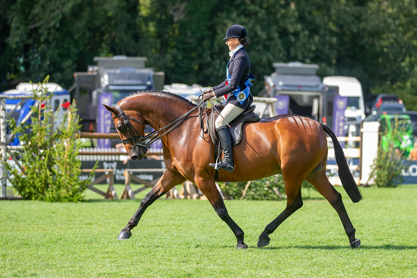 Briarhill Buddy Bolden was among the 2023 Royal International Horse Show winners