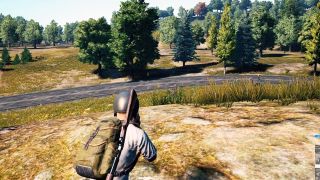 PUBG dying from bots