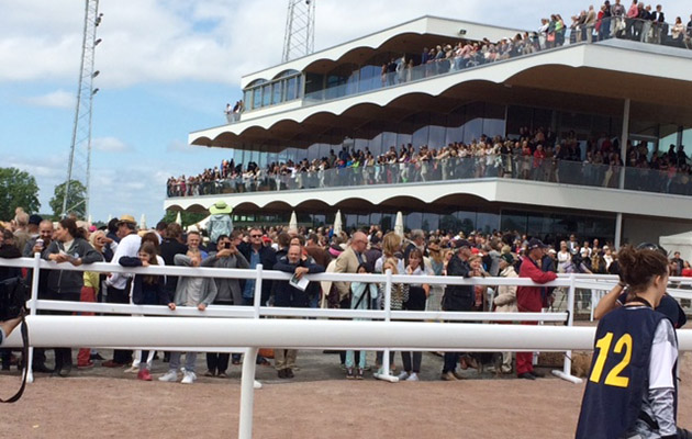 The grandstand