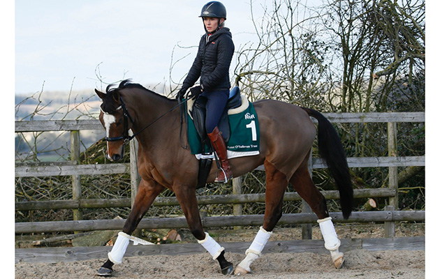 The Giant Bolster with Lucy Bridgwater - 24-02-17. Photo by Gavin James.