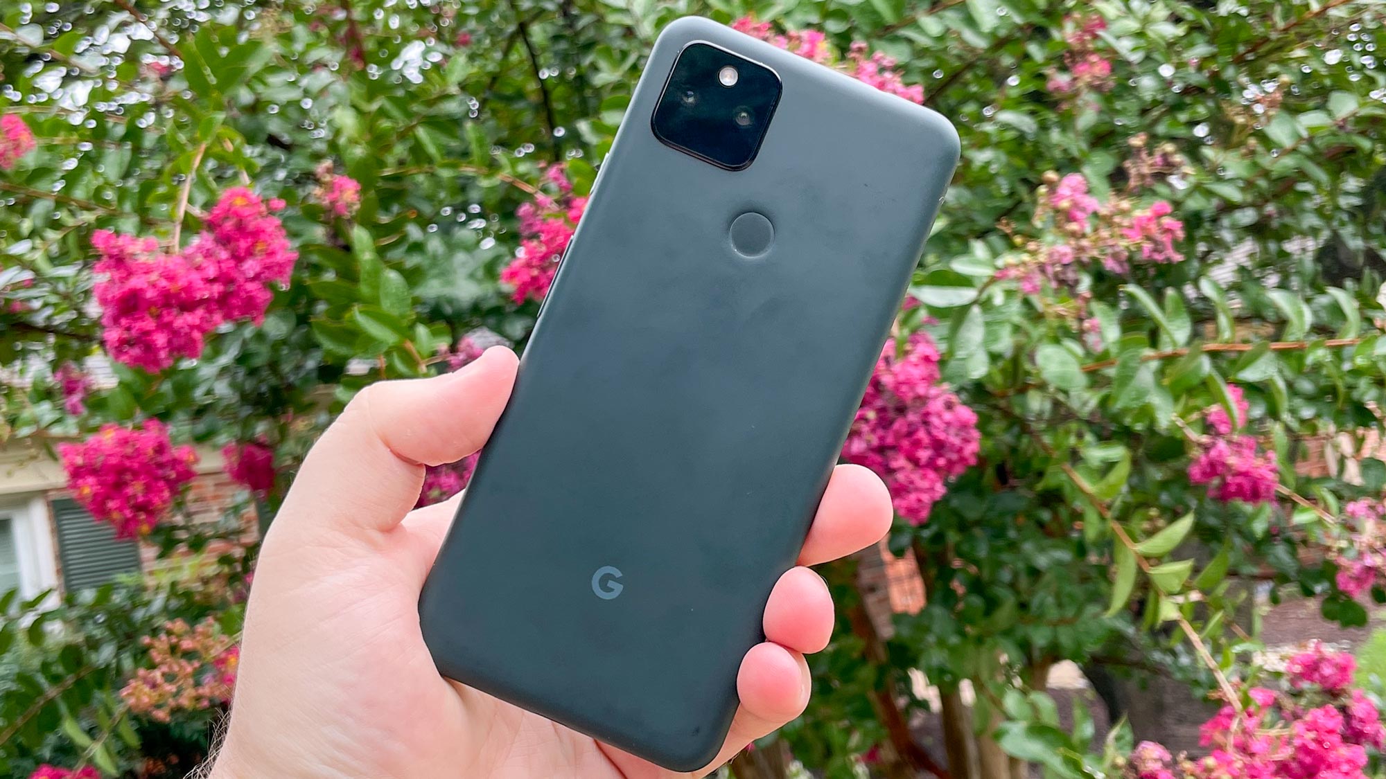 pixel 5a cameras