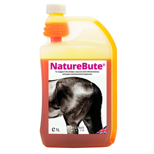 Pegasus_NatureBute