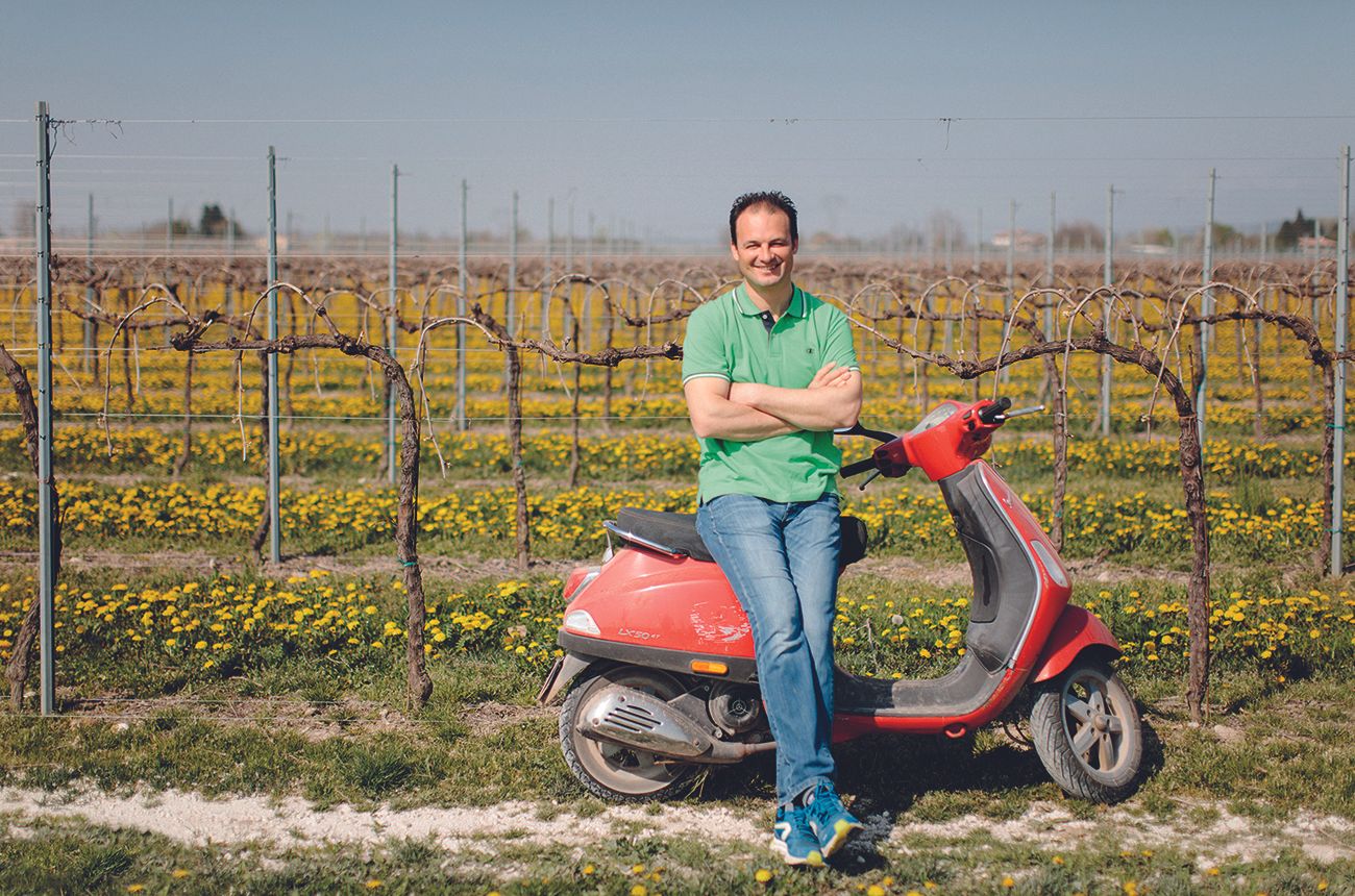 Man sitting on moped in vineyard