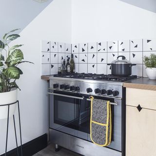 kitchen with cookpot and potted plant
