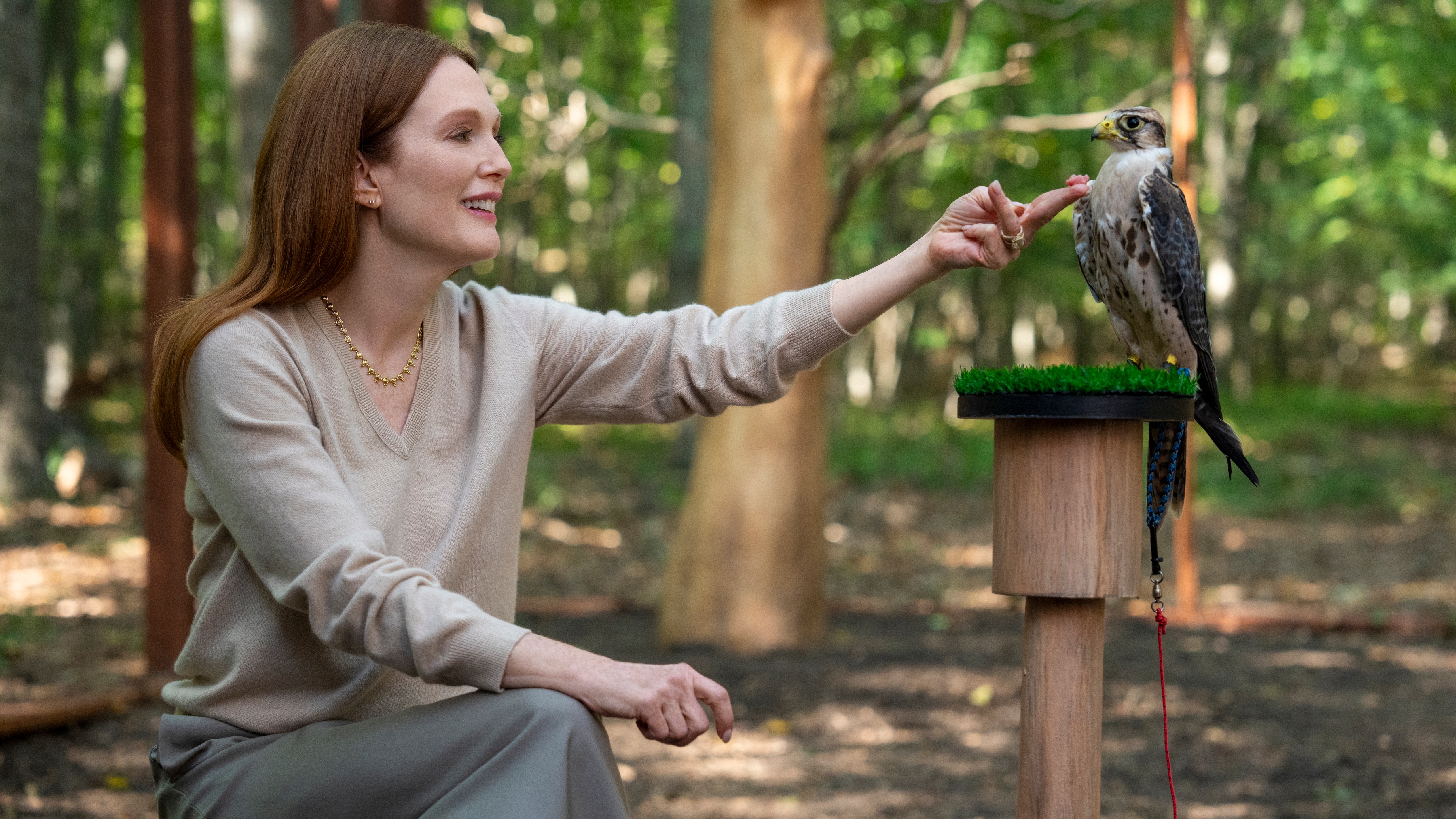 Julianne Moore as Michaela holding food out to a bird