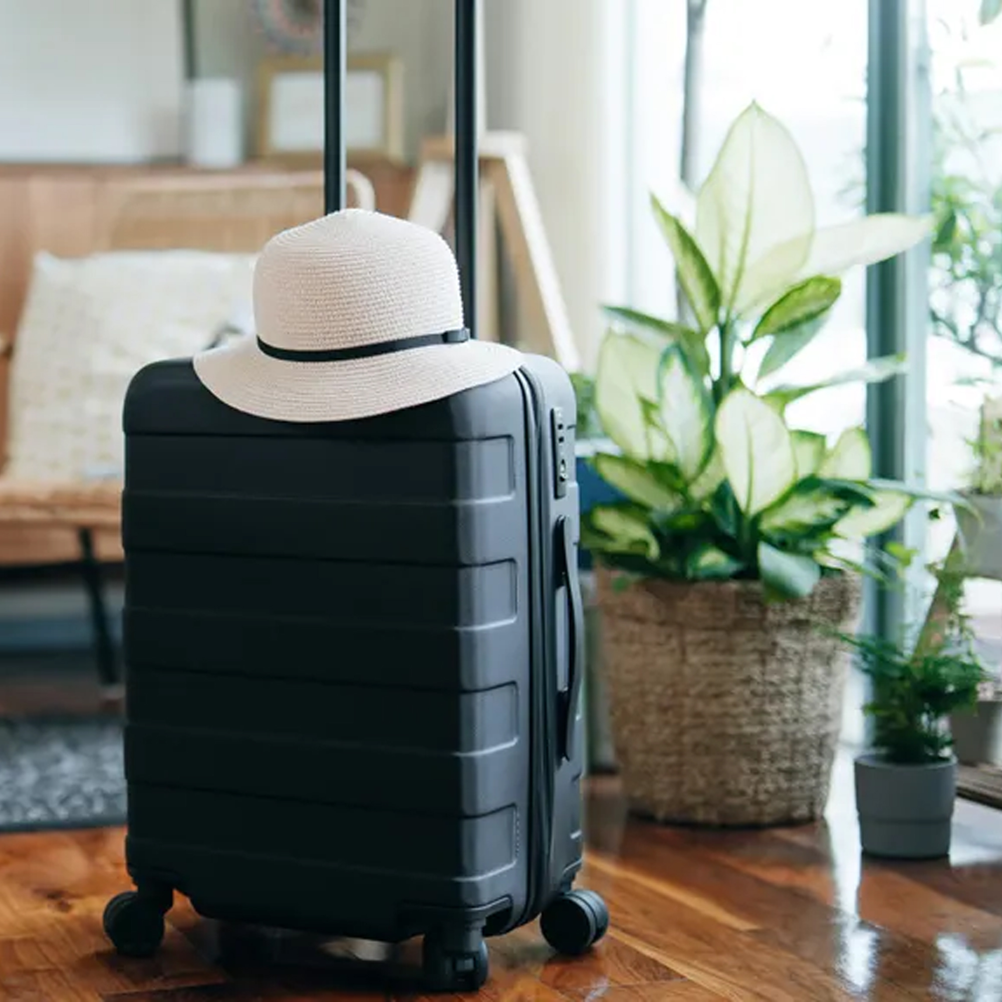A black suitcase in a room with a wooden floor and a plant behind it