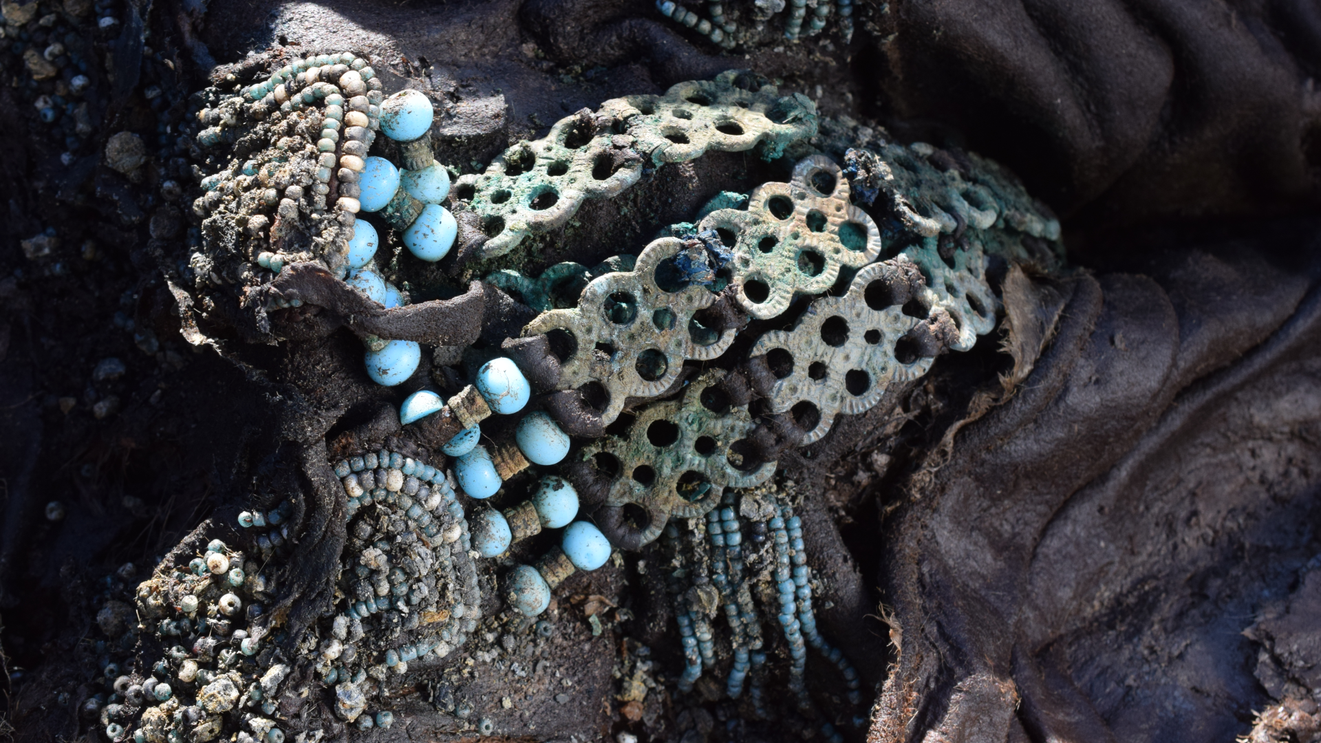 images of artifacts preserved in permafrost