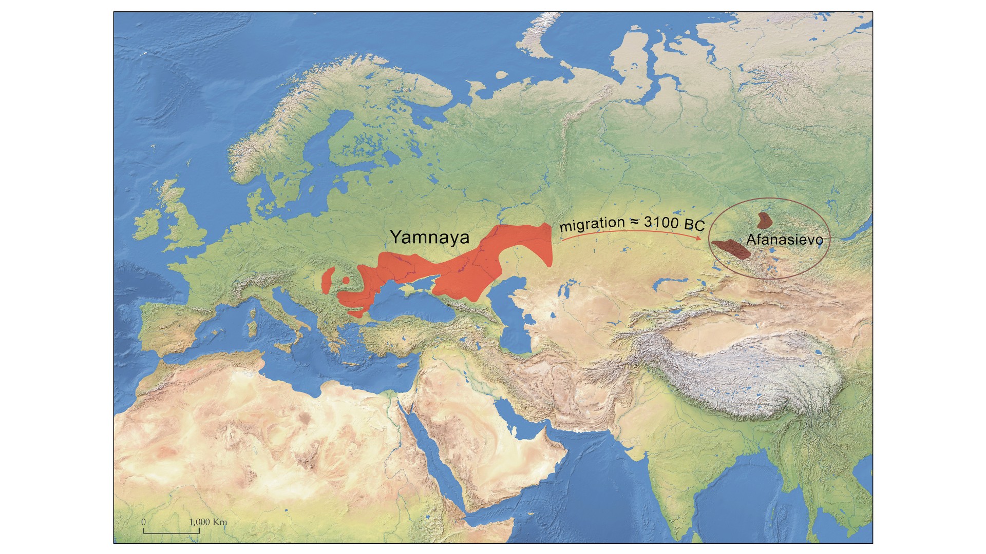A map of the Yamnaya and Afanasievo distribution in Eurasia about 5,000 years ago.