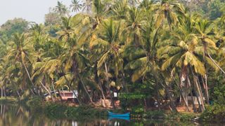 The Keralan backwaters