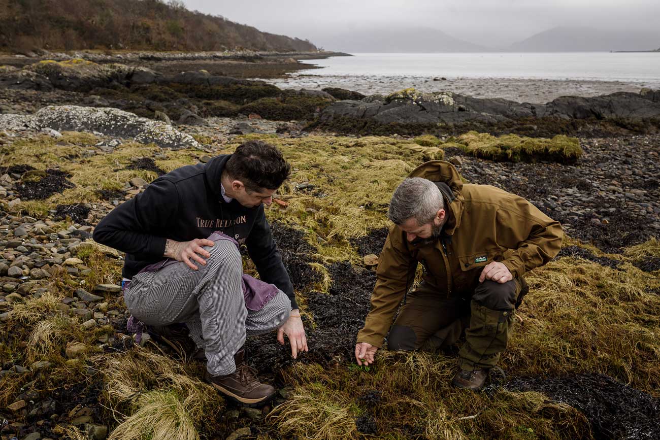 Two men foraging on a beach