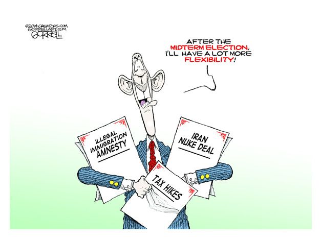 Obama cartoon midterm elections flexibility