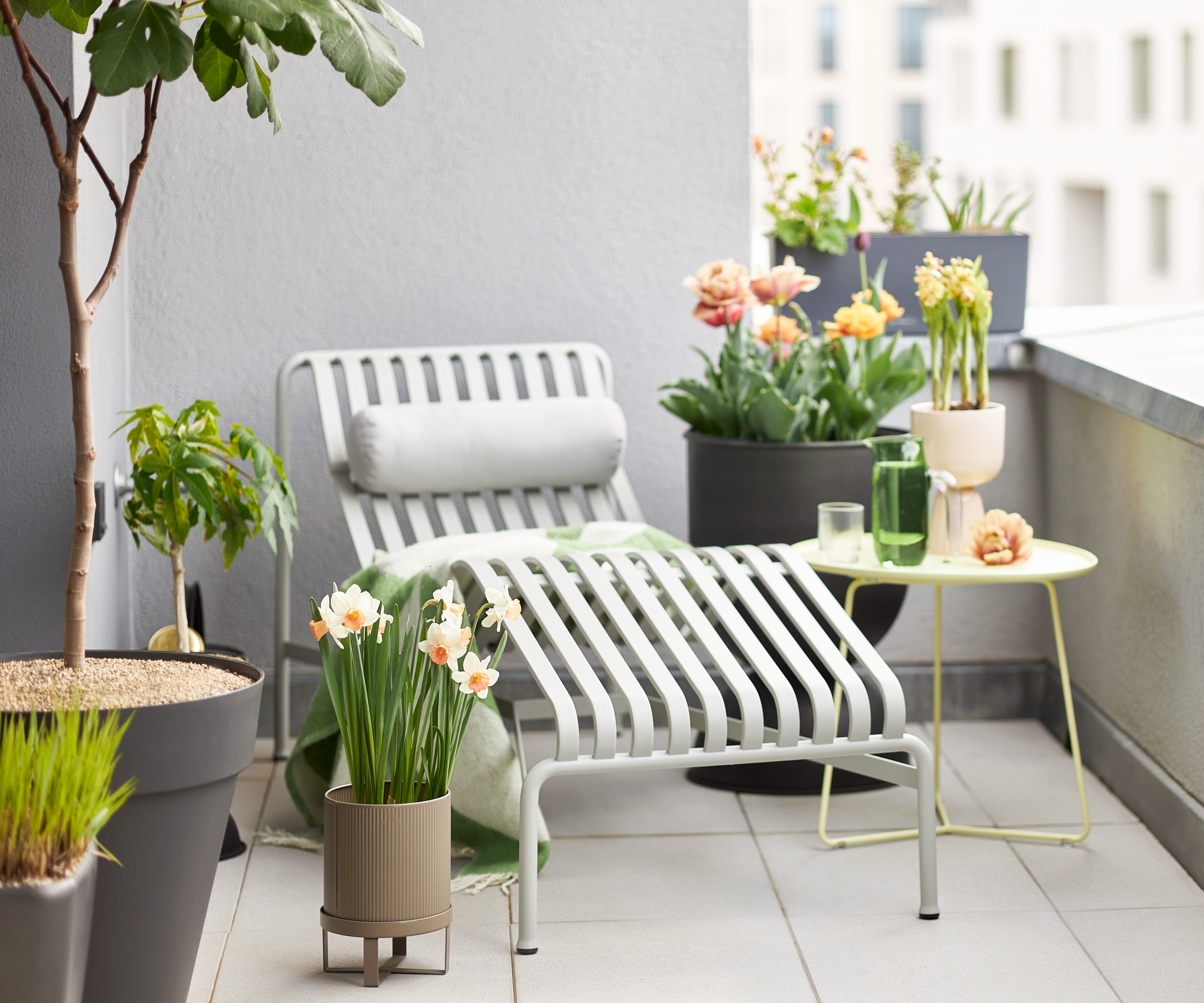 White balcony, pot plants