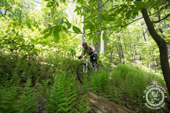 Todd Branham rides through the fern lined desce nt