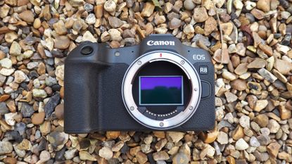 Canon EOS R8 Review: The Best Full-frame Camera For Beginners? | T3