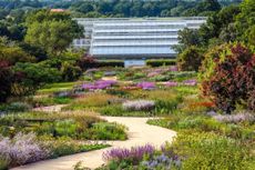 The Oudolf Landscape in front of RHS Wisley's 40ft high glasshouse. ©Clive Nichols Garden Pictures