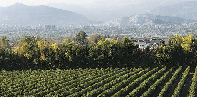 March 2015 Vi&amp;ntilde;a Aquitana, Alto Maipo