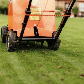 Lawn being aerated