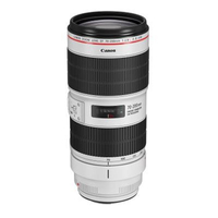 Canon EF 70-200mm f2.8 L IS III USM: