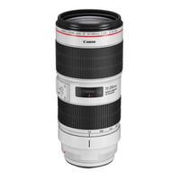 Canon EF 70-200mm f2.8 L IS III USM: £2,149 £2,024 (cashback)UK cashback offer