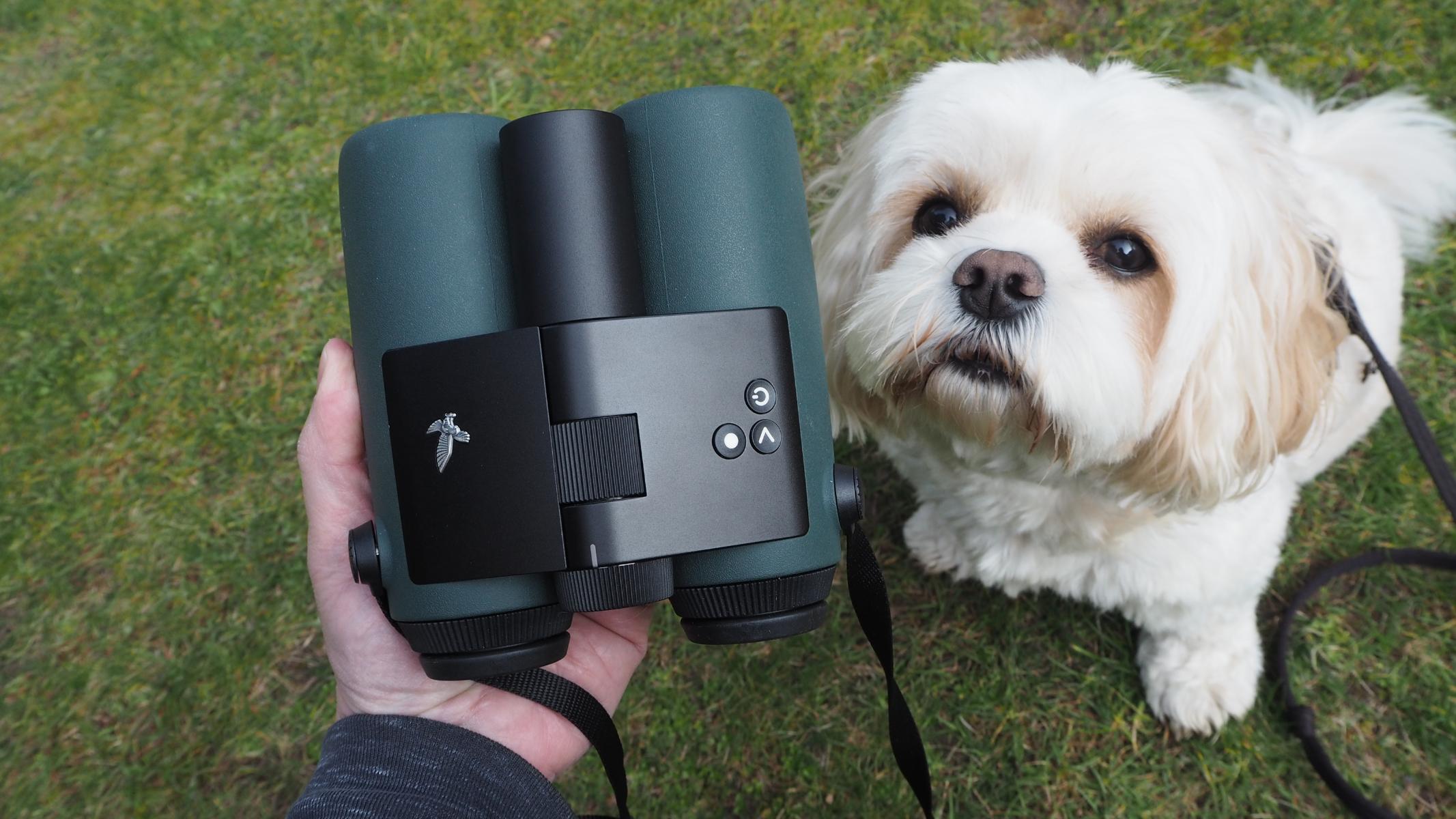 A pair of Swarovski Optik AX Visio smart binoculars being held while a small dog looks on.