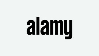 The logo of Alamy, one of the best stock photo libraries