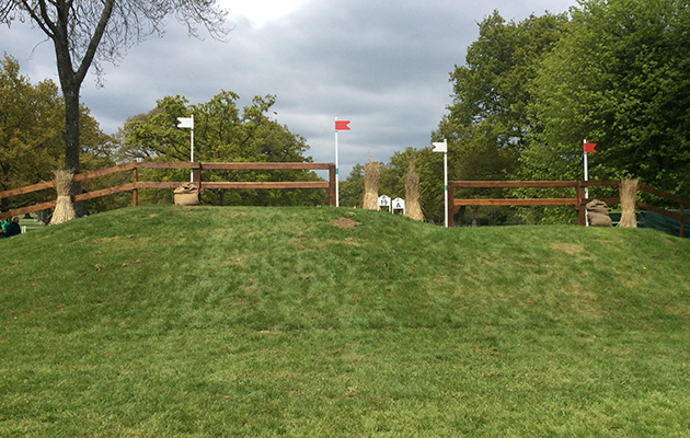 Badminton Fences 2017
