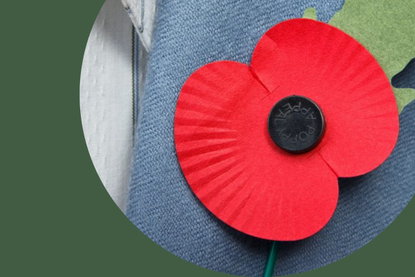 a collage showing someone wearing a poppy